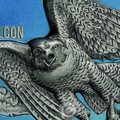 Falcon Urban Hunter Detail
